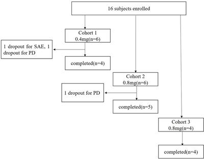 A Novel Combined Conjugate Therapeutic Cancer Vaccine, Recombinant EGF-CRM197, in Patients With Advanced Solid Tumors: A Phase I Clinical Study